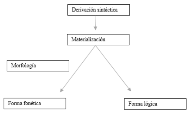 Figura 1. Modelo de gramática de la Morfología distribuida, según Embick y Noyer (2004)
