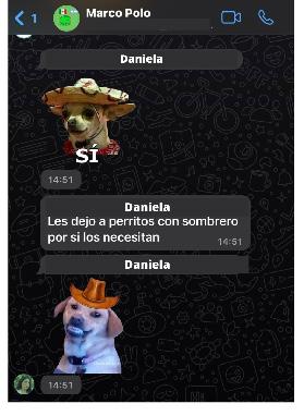 Figura 5. Captura de pantalla de conversación